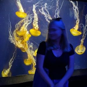 Meet your Posher, Bailey